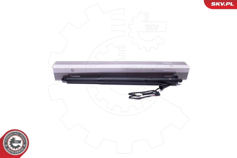 Electric Motor, tailgate